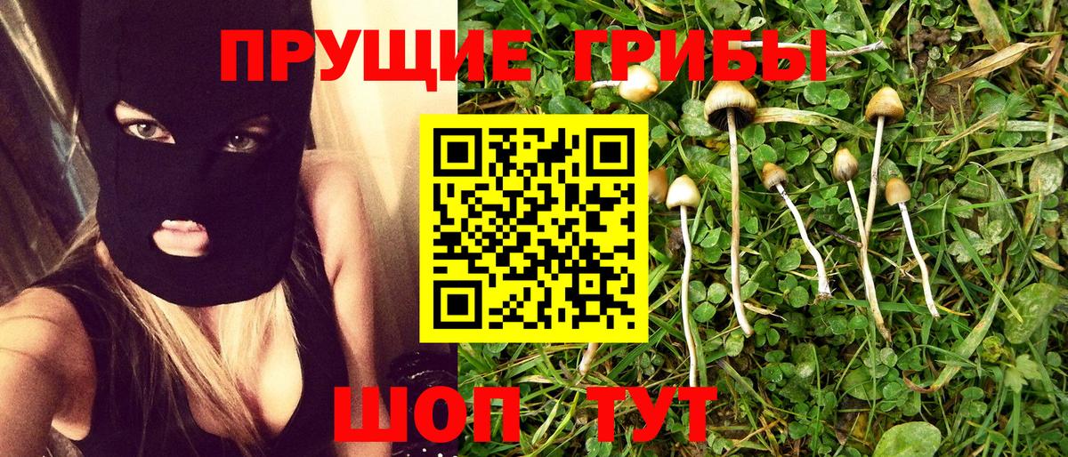 Псилоцибиновые грибы мухоморы  Вход с VPN  Котовск  Галлюциногенные грибы Psilocybine cubensis 