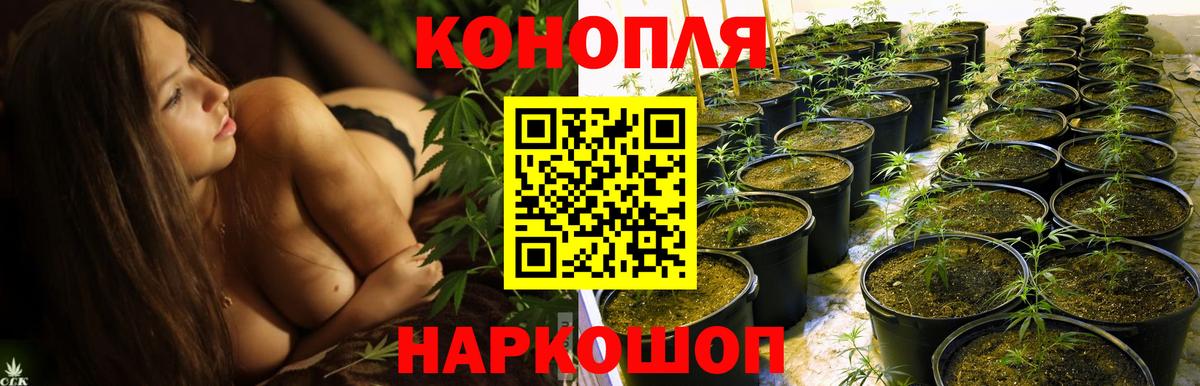 МАРИХУАНА ГИДРОПОН Котовск